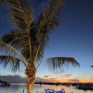 Meet your Posher, Tricia